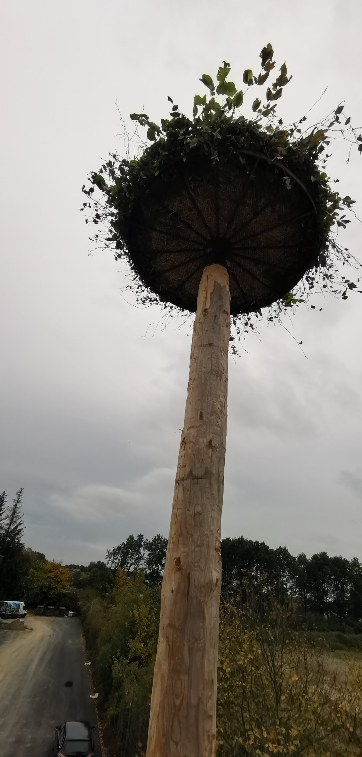 Tømrerarbejde og specialløsning